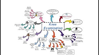 Knee Examination  OSCE [upl. by Benildis]