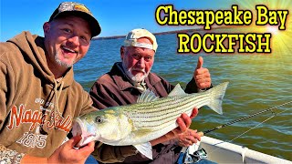 Striped Bass Rockfish Fishing the Chesapeake Bay  Live Lining Spot [upl. by Crescantia995]