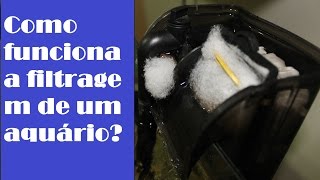 Como funciona a filtragem de um aquário [upl. by Tali]