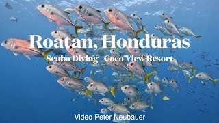 Roatan Honduras a Scuba Diving Adventure to Coco View Resort [upl. by Foote]