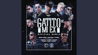 El Gatito de Mi Ex Remix [upl. by Yeffej]