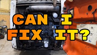 BOBCAT T190 ALTERNATOR BELT INSTALL [upl. by Eniamat66]