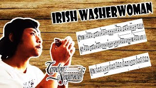 Irish Washerwoman Harmonica Cover Raw [upl. by Wallie893]