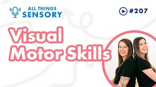 207  Visual Motor Skills You Need to Know For All Ages [upl. by Tu]