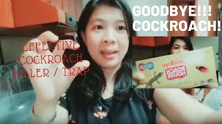 Effective Cockroach Killer or Trap  Habro Goodbye Roach House Review [upl. by Fransisco]