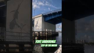 fortlauderdale trending reels fishing fish oceanlife city sea miami reel ocean florida [upl. by Heater591]