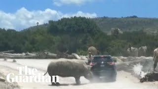 Rhino charges at car in Mexican safari park [upl. by Nelluc]