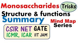 Monosaccharides structure and function biochemistry lecture [upl. by Ortrude]