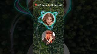 Al Shami Vs Najwa Karam sabran song 🔥🔥🎶 [upl. by Ilime202]