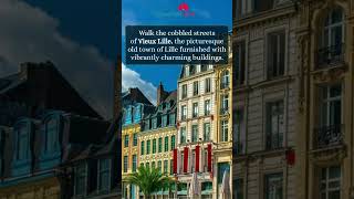 Best Things to Do in Lille France [upl. by Hermie]