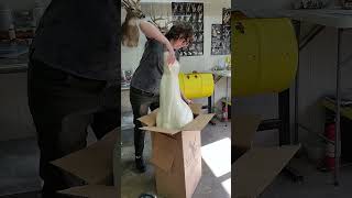 Taxidermy Form Unboxing 📦 taxidermy unboxing [upl. by Hitt]