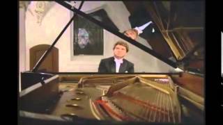 Beethovens piano sonata 21  III movement  Emil Gilels [upl. by Leirea]