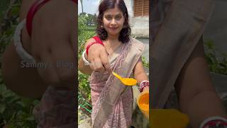 🍀 গাছে গুড়ো হলুদ দিলে কি হয় দেখুন 🌸turmeric instead of fungicide garden foryou [upl. by Okeim]