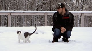 Cats In The Snow  Living in Alaska 93 [upl. by Llenral]