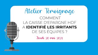 Atelier Témoignage  Comment identifier les irritants pour améliorer lexpérience collaborateur [upl. by Frasquito908]