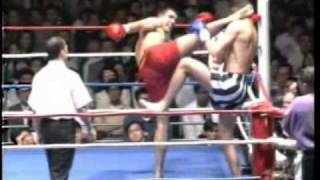 Peter Aerts Greatest Knockouts [upl. by Yrallih537]