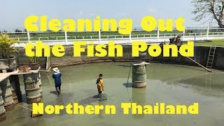 Cleaning Out the Fish Pond in Northern Thailand [upl. by Cerallua903]