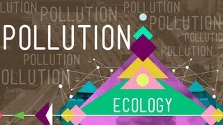 Pollution Crash Course Ecology 11 [upl. by Okime]