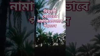 বিশ্বনবী বেতরের নামাজ যেভাবে পড়তেন shorts islam namaz waz youtubevideo mizanurrahmanazhari [upl. by Hiroshi721]