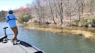 Its Happening Sight Fishing Spring Largemouth Bass [upl. by Polak816]