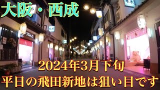 🇯🇵2024年3月平日の飛田新地は閑散 TobitaShinchi Osaka  redlight district  March 2024 [upl. by Nedloh584]