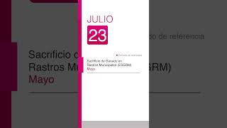 Agenda INEGI del 22 al 26 de julio inegi estadísticas shorts [upl. by Folsom]