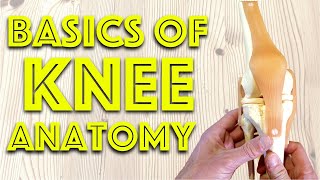 Anatomy of the Knee Joint  Basic Clinical Anatomy Revision  Dr Gill [upl. by Bren741]