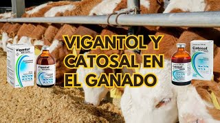 Vitaminas para mejorar la producción en el ganado 🐂🐑🌱🤠 [upl. by Hackney]