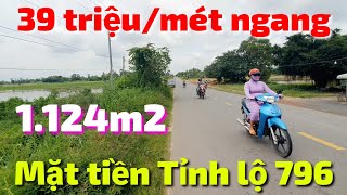 Bán rẻ 39 triệu mét ngang đất mặt tiền Tỉnh lộ 796 Châu Thành Tây Ninh rộng 1124m2 đất LUC phủ hồng [upl. by Bred]