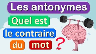 Le contraire des mots français  les antonymes [upl. by Lein]