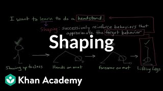 Operant conditioning Shaping  Behavior  MCAT  Khan Academy [upl. by Brozak]