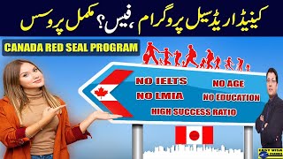 Canada Visa Without IELTS  Red Seal Program I Total Cost  Complete Process I Urdu By Easy Visa [upl. by Yorgerg273]