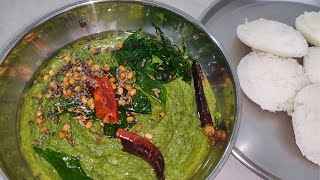 ಪುದೀನ ಚಟ್ನಿ  Pudina Chutney Recipe in Kannada  Mint Chutney in Kannada  Chutney Recipes [upl. by Herring393]