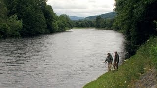 Salmon Fishing Crathes Castle Salmon Beat  Fishing TV [upl. by Ativel953]