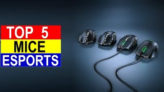 Top 5 Mice for Esports For 2024  Best Mice for Esports You Can Buy Reviews [upl. by Holzman]