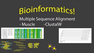 Multiple Sequence Alignment at the Terminal with Conda [upl. by Kalbli]