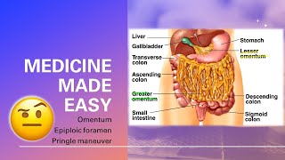 Omentum Omental foramen Pringle Maneuver  fast and easy  MEDICINE MADE EASY [upl. by Flodnar]