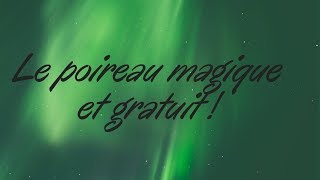 Le poireau MAGIQUE et GRATUIT [upl. by Garap214]