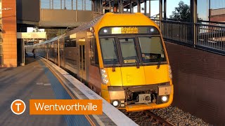 Transport for Sydney Vlog 79 Wentworthville [upl. by Oxley]