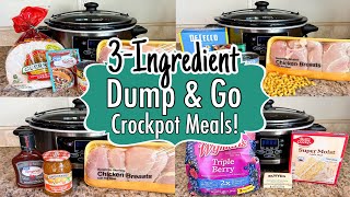 6 DUMP amp GO CROCKPOT DINNERS  The BEST Quick amp EASY 3INGREDIENT Slow Cooker Meals  Julia Pacheco [upl. by Akselaw]