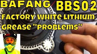 Bafang 8fun BBS02  White Lithium Grease quotproblemsquot • Electric Bike 750w 48v mid drive kit [upl. by As]