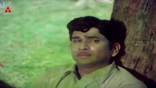 Nelallu Nindinattu Video Song  Yuvaraju Movie  ANRJayasudha [upl. by Ellerehs]