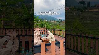 Wisata camping landscape cafe padusan park pacetcampingpacet [upl. by Jefferey]