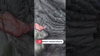 Why do geologists collect lava lava [upl. by Spevek]