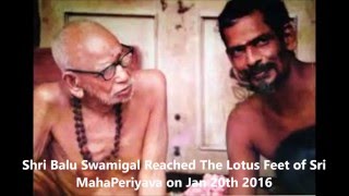 Experience With Maha Periyava By  A devotee From Wisdoms Goldenrod [upl. by Kwon]