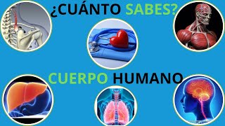 ¿Cuánto sabes de ANATOMÍA HUMANA 19 preguntasQUIZRETO [upl. by Ehcrop847]