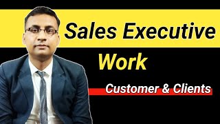 Sales Executive का क्या काम होता है  Sales Executive work [upl. by Dorothy161]