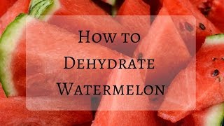 How To DEHYDRATE WATERMELON  Dehydrated Melon  Using A Dehydrator  Dehydrating Fruit [upl. by Asined658]