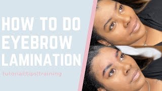 Eyebrow Lamination Tutorial Step By Step Brow Lamination [upl. by Martinsen]