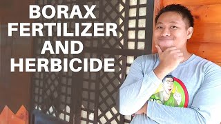 Borax Fertilizer and Herbicide Borax bilang pataba at pamatay damo [upl. by Akehsal968]